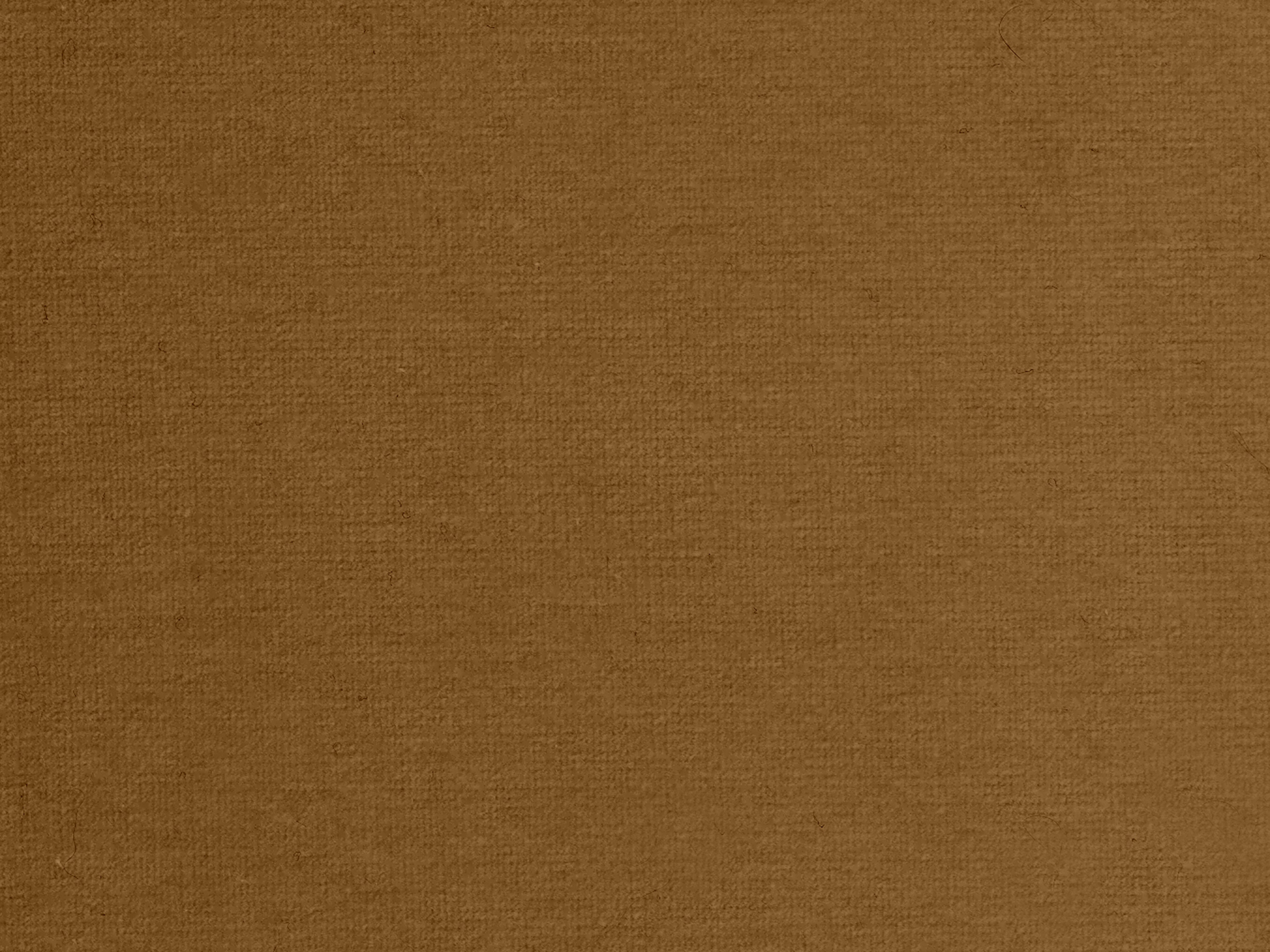 zoom colori RIVE GAUCHE orge, beige